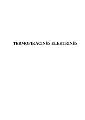 Termofikacinės elektrinės (TE)