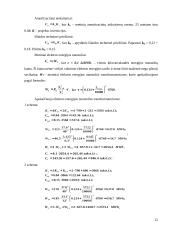 Termofikacinės elektrinės (TE) 13 puslapis