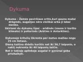 Dykumų augalija ir gyvūnija. Drėgnieji atogrąžų miškai 2 puslapis