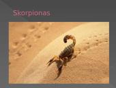 Dykumų augalija ir gyvūnija. Drėgnieji atogrąžų miškai 11 puslapis