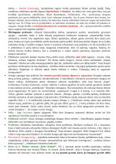 Balys Sruoga. „Dievų miškas“ – savitumas, ironijos prasmė 4 puslapis