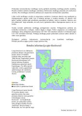 Termoizoliacinės medžiagos Rockwool 8 puslapis