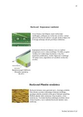 Termoizoliacinės medžiagos Rockwool 10 puslapis