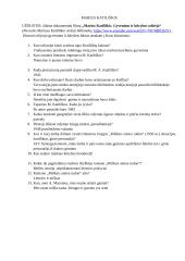 Marius Katiliškis. Dokumentinio filmo peržiūros klausimai