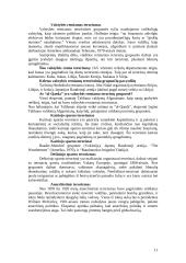 Terorizmo atakos 11 puslapis