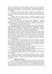 Terorizmo atakos 4 puslapis