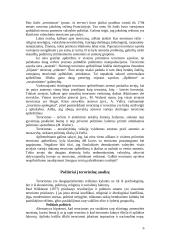 Terorizmo atakos 6 puslapis