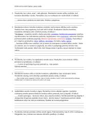 V. Mačernis. Vizijų analizė 2 puslapis