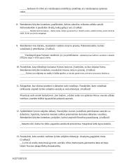 V. Mačernis. Vizijų analizė 3 puslapis