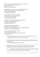 V. Mačernis. Vizijų analizė 4 puslapis