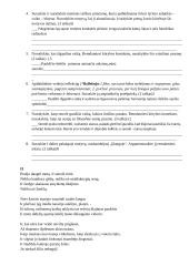 V. Mačernis. Vizijų analizė 5 puslapis