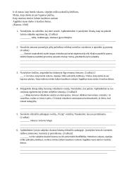 V. Mačernis. Vizijų analizė 6 puslapis