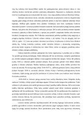 Litas - nacionalinė Lietuvos valiuta tarpukariu 7 puslapis