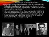 Branduolinės energetikos privalumai ir problemos 2 puslapis