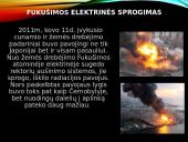 Branduolinės energetikos privalumai ir problemos 11 puslapis