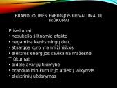Branduolinės energetikos privalumai ir problemos 12 puslapis