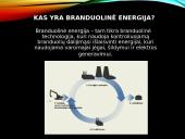 Branduolinės energetikos privalumai ir problemos 3 puslapis