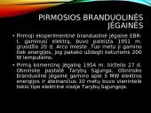 Branduolinės energetikos privalumai ir problemos 5 puslapis