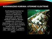 Branduolinės energetikos privalumai ir problemos 7 puslapis