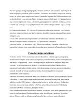 Lokaliniai konfliktai. Komunistinių šalių pasipriešinimas SSRS 16 puslapis