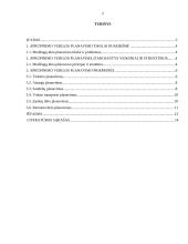 Tiekimo (aprūpinimo) planavimas 2 puslapis