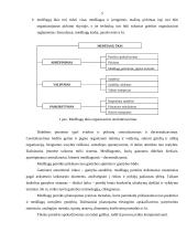 Tiekimo (aprūpinimo) planavimas 5 puslapis