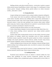 Tiekimo (aprūpinimo) planavimas 8 puslapis