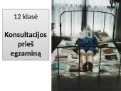 Prieš lietuvių kalbos egzaminą