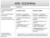 Prieš lietuvių kalbos egzaminą 2 puslapis