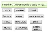 Prieš lietuvių kalbos egzaminą 16 puslapis