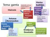 Prieš lietuvių kalbos egzaminą 20 puslapis