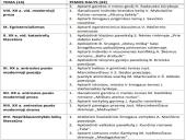 Prieš lietuvių kalbos egzaminą 6 puslapis