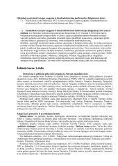 Šaltasis karas: klausimai, atsakymai, koncentruota teorija 4 puslapis