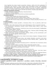 Viduramžių teorija (pilna medžiaga) 4 puslapis