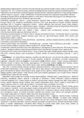 Viduramžių teorija (pilna medžiaga) 5 puslapis