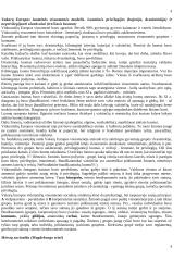 Viduramžių teorija (pilna medžiaga) 6 puslapis