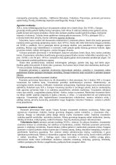 Pramonės perversmo ištakos ir sklaida 2 puslapis