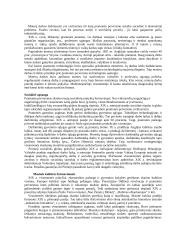 Pramonės perversmo ištakos ir sklaida 3 puslapis