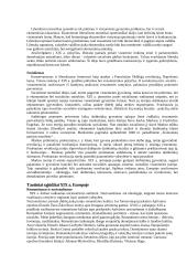 Pramonės perversmo ištakos ir sklaida 5 puslapis