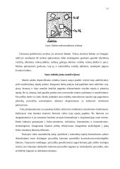 Tiesioginės ir atvirkštinės trinties poros 12 puslapis
