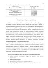 Tiesioginės ir atvirkštinės trinties poros 14 puslapis