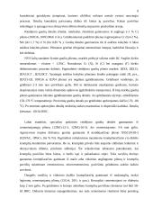 Tiesioginės ir atvirkštinės trinties poros 10 puslapis