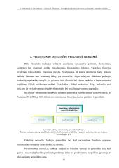 Tiesioginiai Lietuvos mokesčiai ir jų fiskalinė ir socialinė reikšmė 11 puslapis