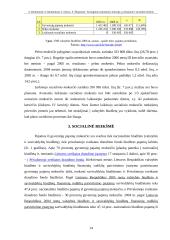 Tiesioginiai Lietuvos mokesčiai ir jų fiskalinė ir socialinė reikšmė 13 puslapis