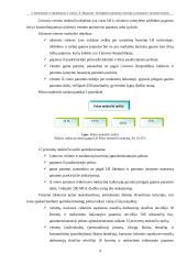 Tiesioginiai Lietuvos mokesčiai ir jų fiskalinė ir socialinė reikšmė 8 puslapis