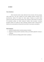 Tiesioginių užsienio investicijų pritraukimas Lietuvoje ir Vokietijoje 2 puslapis