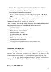 Tiesioginių užsienio investicijų pritraukimas Lietuvoje ir Vokietijoje 17 puslapis