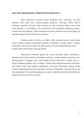 Tiesioginių užsienio investicijų pritraukimas Lietuvoje ir Vokietijoje 3 puslapis