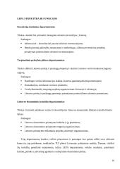 Tiesioginių užsienio investicijų pritraukimas Lietuvoje ir Vokietijoje 10 puslapis