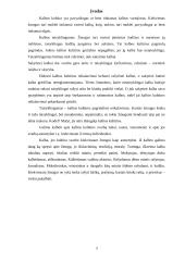 Tinkamas kalbos vartojimas 2 puslapis